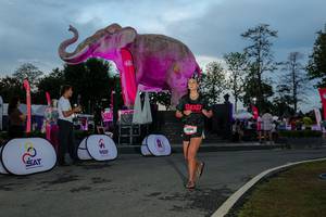 BIB: 
                            <button type="button" onclick="openModal(26529537)" class="btn btn-primary btn-sm float-right btn-popup" data-toggle="modal" data-target=".modal-high-quality">
                        <i class="fas fa-shopping-cart"></i> Add to Cart
                    </button>
                                            <button type="button" onclick="isThisMe(26529537, true)" class="btn btn-success btn-sm float-right btn-popup btn-isme hidden" data-toggle="tooltip" data-placement="bottom" title="นี่คือรูปของคุณใช่ไหม คลิกที่นี่เพื่อเอาเข้าอัลบั้ม">
                        <i class="fas fa-plus"></i> Add to album
                    </button>
                    <button type="button" onclick="isThisMe(26529537, false)" class="btn btn-warning btn-sm float-right btn-popup btn-isnotme hidden">
                        <i class="fas fa-ban"></i> Remove from album
                    </button>